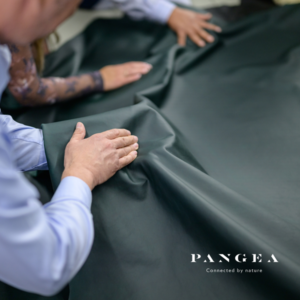 PHOTO CREDIT Pangea