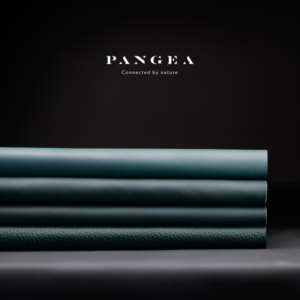 PHOTO CREDIT Pangea