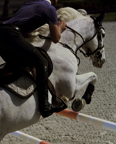 ליגת הקפיצות המובילה (PJL) ו-McCarthy Jumping Team מכריזות על רכישה היסטורית